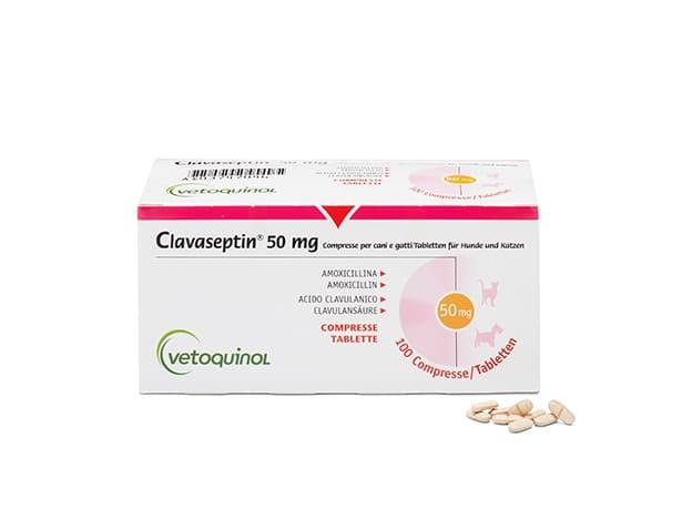 Amoxicillin 1000 Mg Rezeptfrei Bestellen