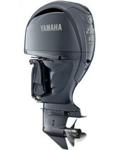 Yamaha FL 250