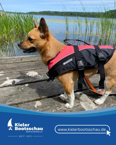 Schwimmwesten für Hunde bei uns im Shop in Kiel
