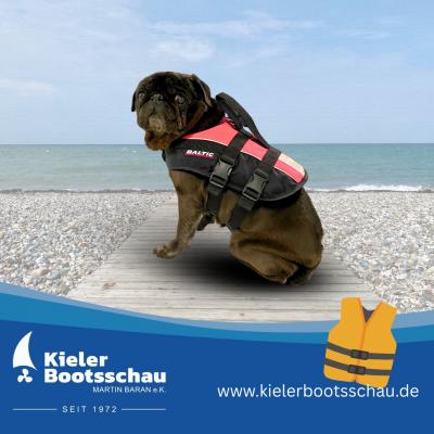 Sicher auf dem Wasser - für Mensch und Hund