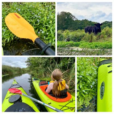 Sonnige Kajak-Momente auf der Eider - ein kurzer Erlebnisbericht
